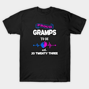 Promoted to grandpa T-Shirt